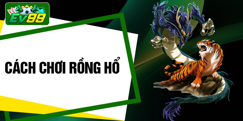 Cách Chơi Rồng Hổ