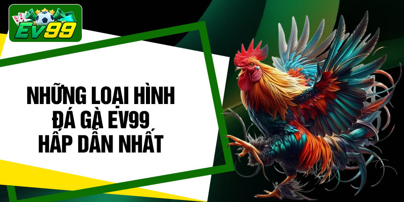 Những loại hình đá gà EV99 hấp dẫn nhất
