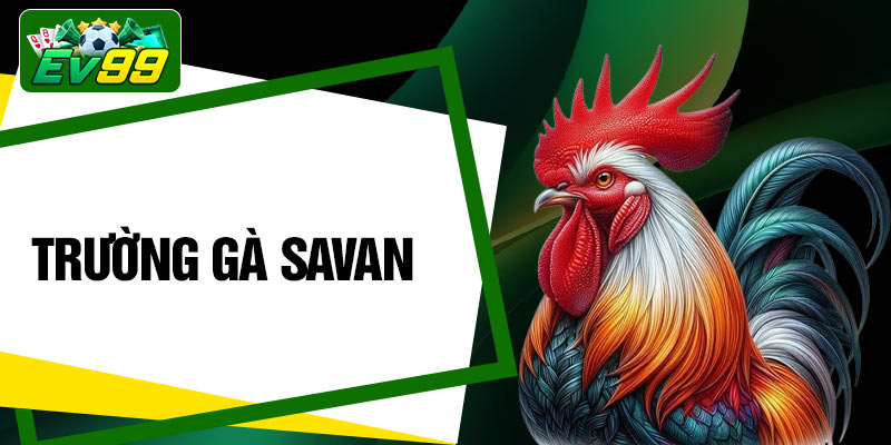 Trường Gà Savan